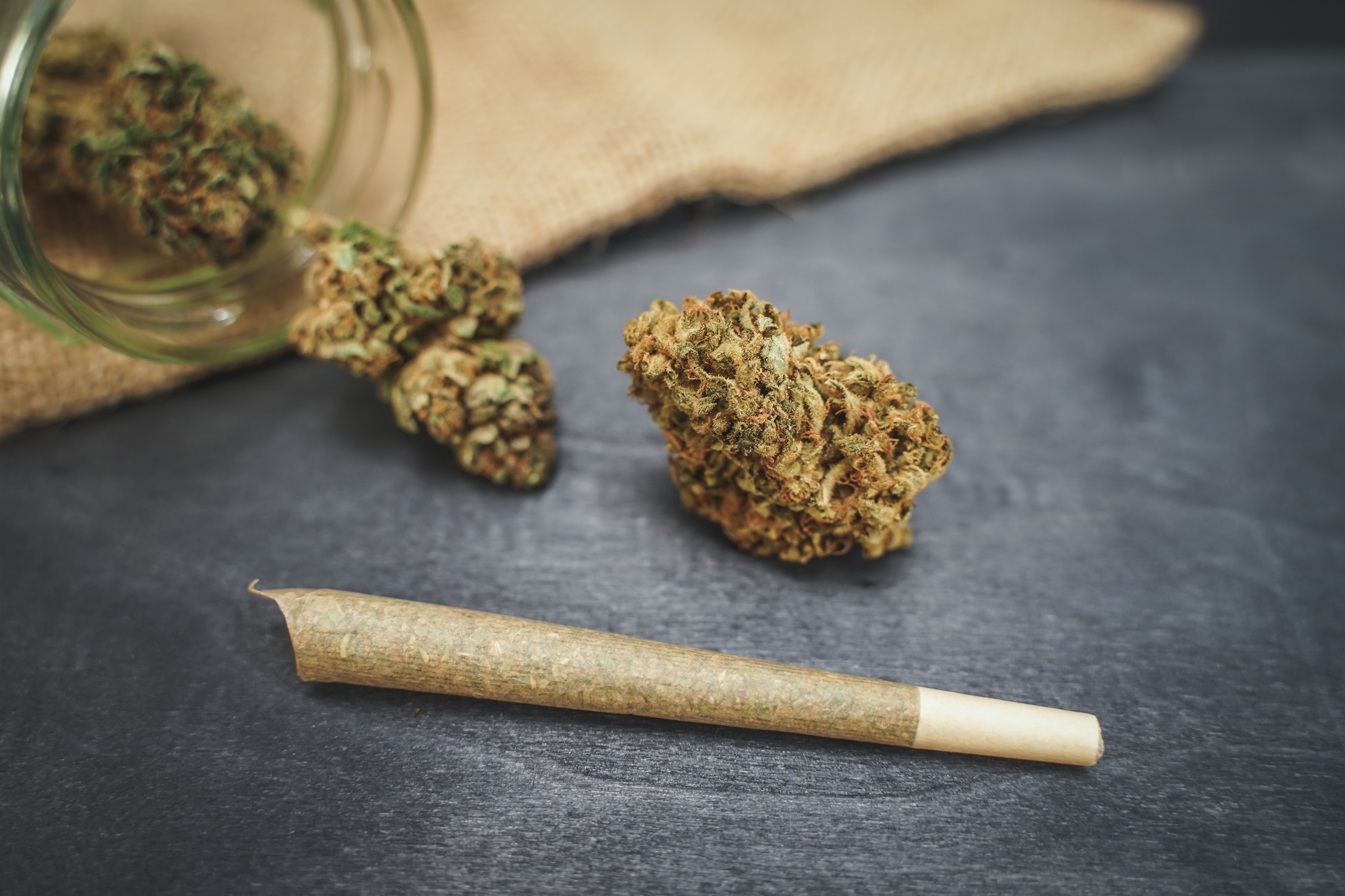 CBD medical marijuana and hemp leaves. Medical cannabis.