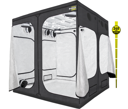 PROBOX BUNKER VERSION 240