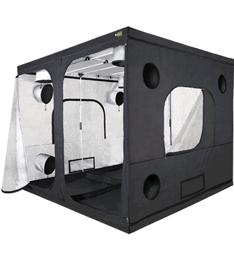 PROBOX BASIC VERSION 240