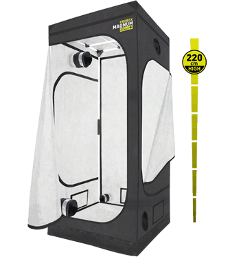 PROBOX MAGNUM VERSION 120