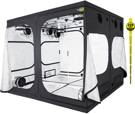 PROBOX MAGNUM VERSION 240
